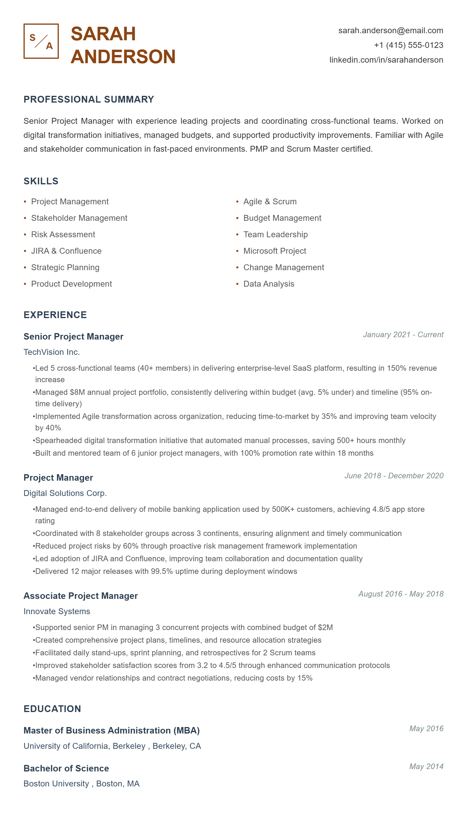 Professional Resume Example
